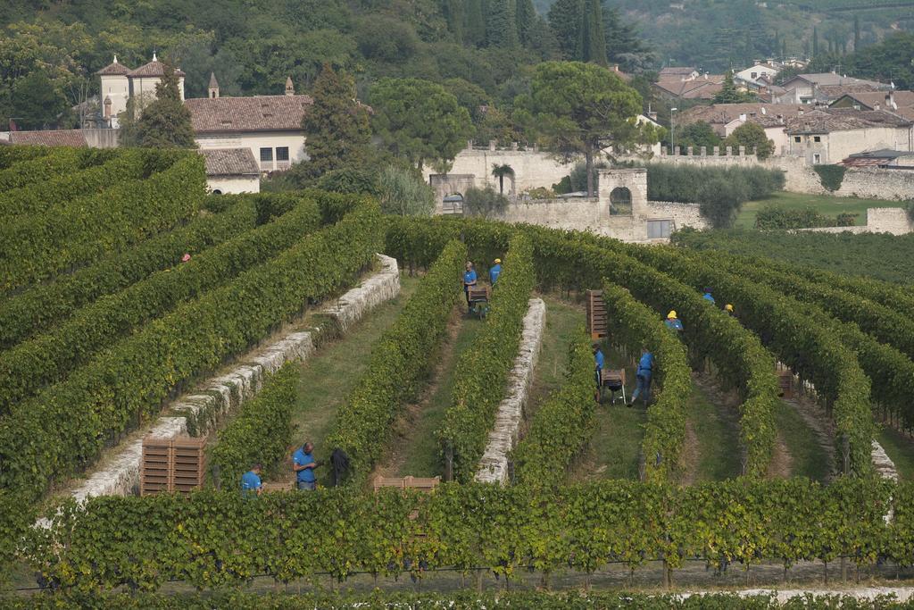 Villa Della Torre Fumane Bagian luar foto